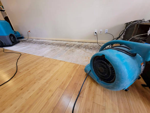 Professional Structural Drying technician working in Nicollet, MN